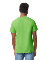5000 Lime